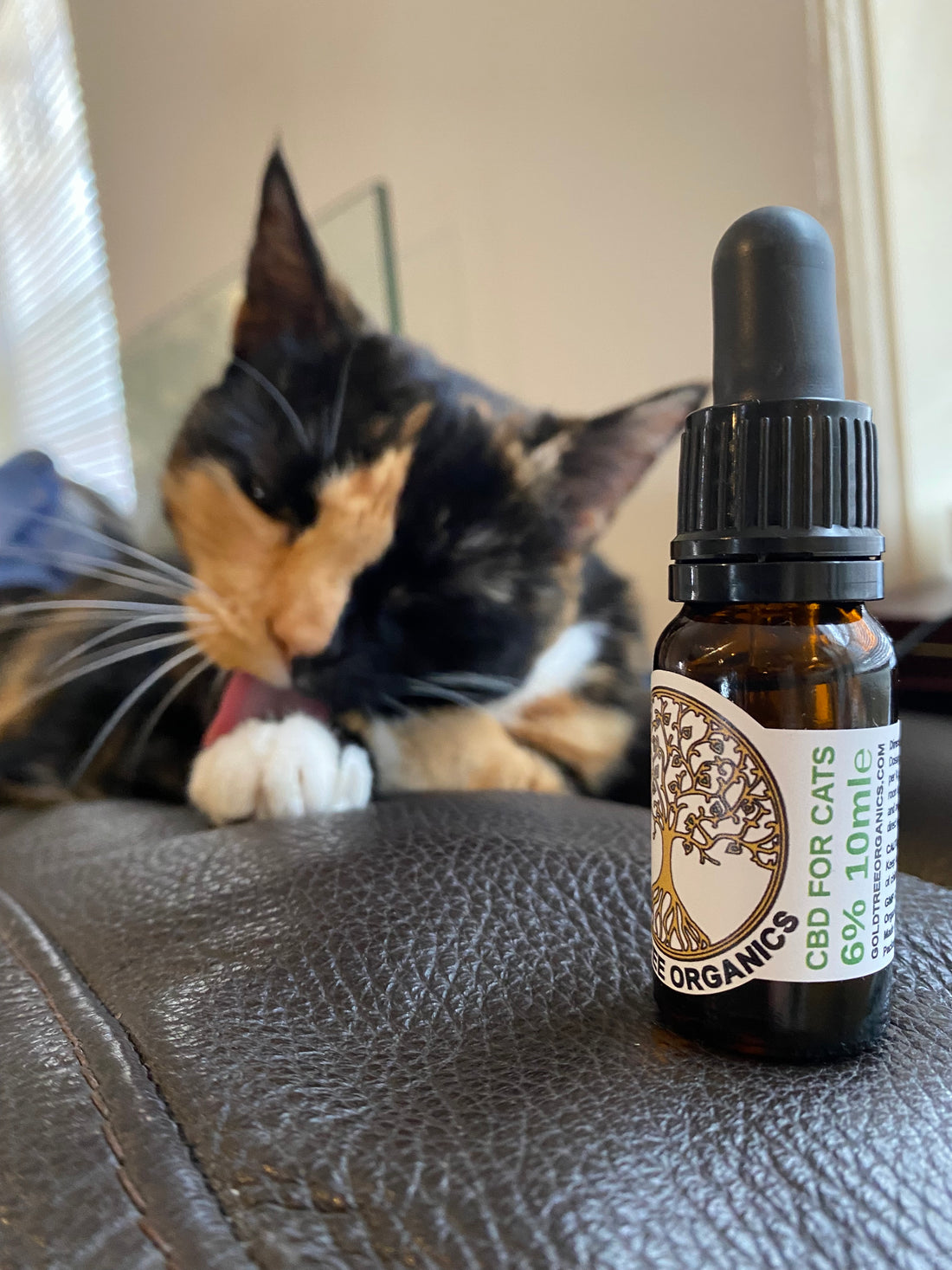 Benefits Of CBD For Pets