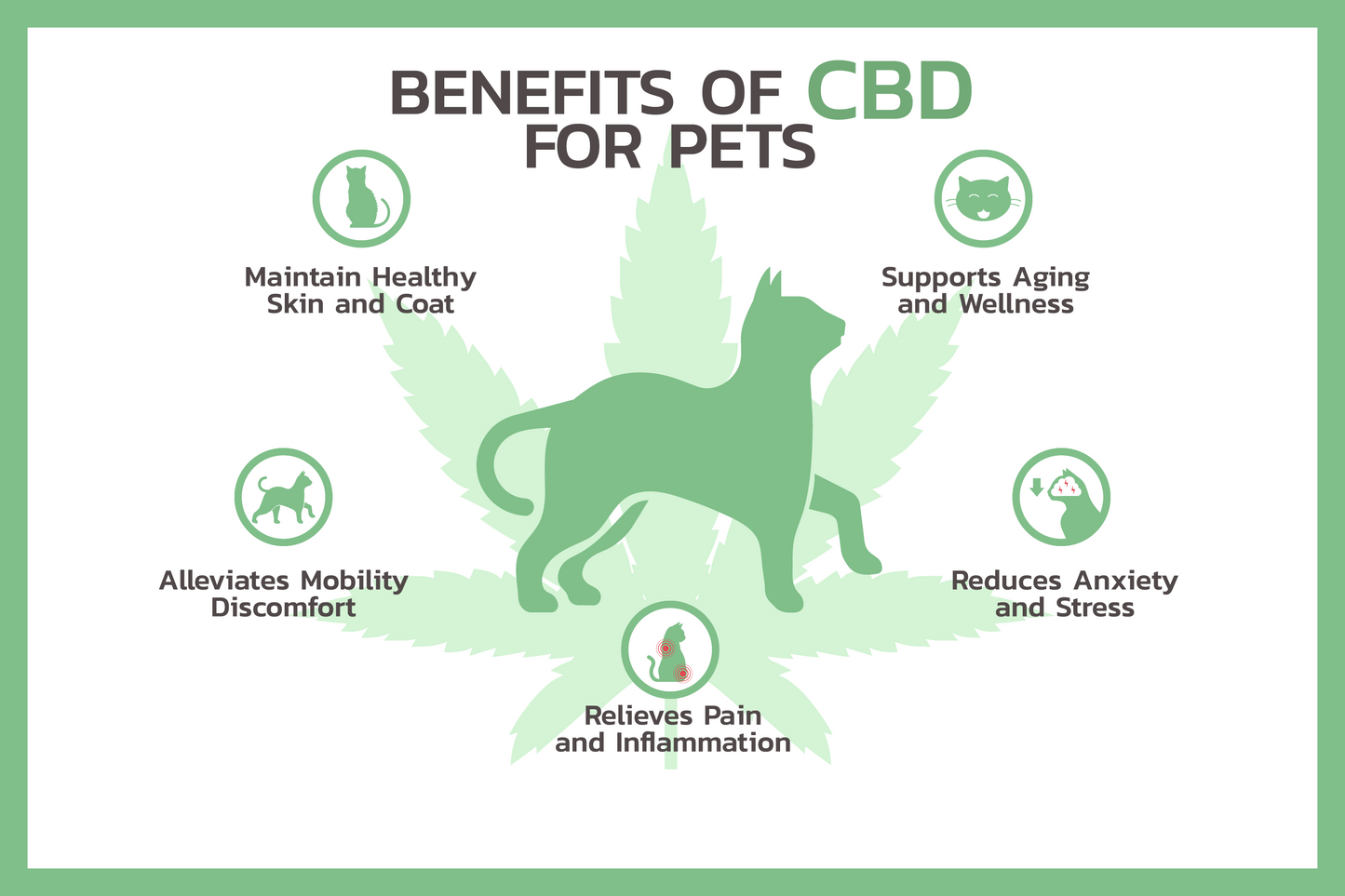 Dog CBD